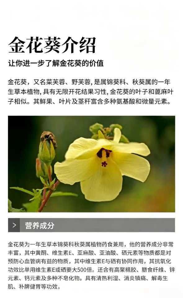 微信图片_20261008075312_11_3.jpg 微信图片_20261008075312_11_3.jpg