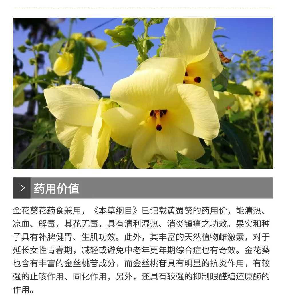 微信图片_20261008075313_12_3.jpg 微信图片_20261008075313_12_3.jpg