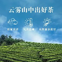 陈皮普洱茶萃固体饮料15g(0.5g*30条/盒)