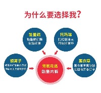 女士养生内裤一条