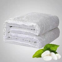 ·国内贸易·蚕丝双人棉被（4斤180*220cm）