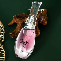 国内贸易   十二金钗香水品牌女士香水RISSERS热销爆款古风香水持久淡香（30mI）粉钻   金钻   紫钻颜色备注））