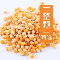 国内贸易    {爆裂玉米}爆米花玉米粒500g爆米花专用玉米粒爆米花的玉米粒家用(拍二送一）