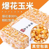 国内贸易    {爆裂玉米}爆米花玉米粒500g爆米花专用玉米粒爆米花的玉米粒家用(拍二送一）