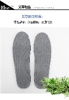 国内贸易   生物波物理回震按摩鞋WM-157(女鞋）