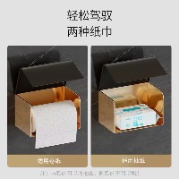 国内贸易  卫生间纸巾盒厕所卫生纸置物架抽纸盒免打孔防水纸巾架厕所盒（轻奢方形加大款可放手机））