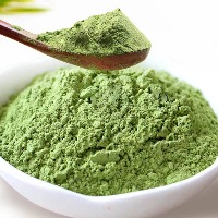 国内贸易  羽衣甘蓝粉粉果蔬汁粉绿叶菜休闲零食(拍一发三盒）