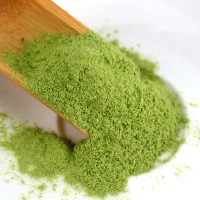 国内贸易  羽衣甘蓝粉粉果蔬汁粉绿叶菜休闲零食(拍一发三盒）