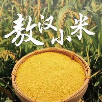 国内贸易  内蒙古敖汉旗黄小米养胃小米粥农家新小米杂粮月子米宝宝小米油（4斤装）