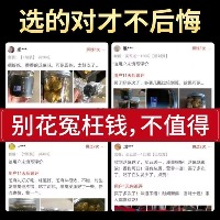 国内贸易   南京同仁堂黑芝麻丸20丸蒸九晒手工丸子黄精芝麻球20丸罐