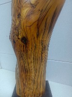 达摩祖师(崖柏虎皮留疤老油料)   17*13    高59