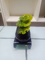 百财    玉雕(精品)