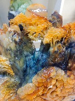 富贵人家    (花玉精雕)